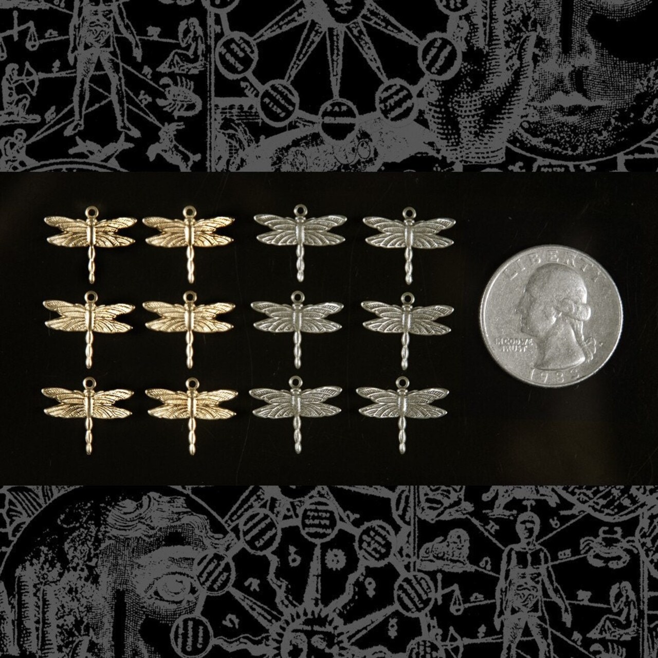 Antiqued Silver Plated Brass Dragonfly Charms - Set of Twelve - S-C09